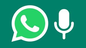 بروزرسانی جدید واتس اپ
