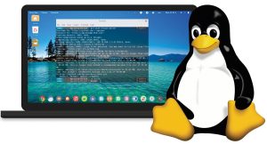 ویژگی های کامل سیستم لینوکس- linux چیست؟ توزیع های لینوکس چیست؟
